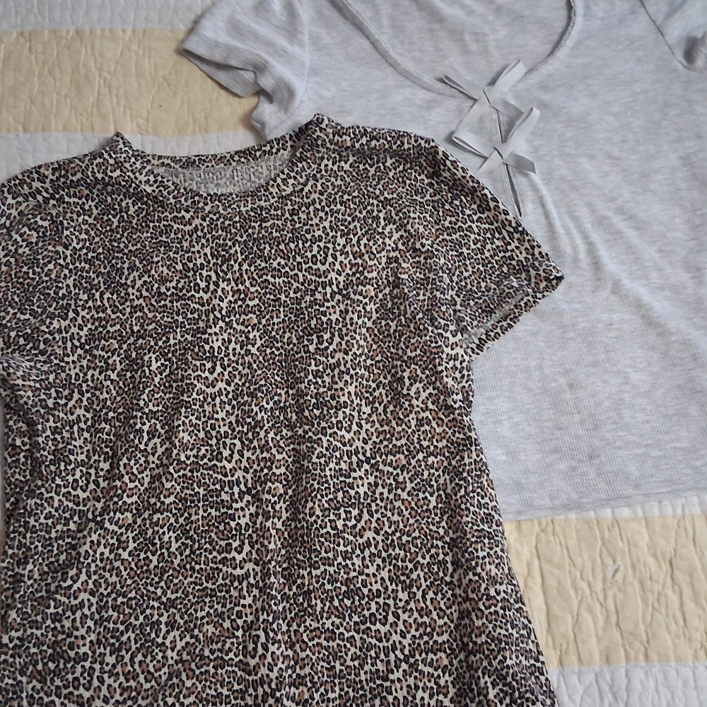 2 American Eagle Outfitters Short Sleeve Tops